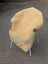 Cream-colored medical sheepskin chair with soft fluffy texture and white metal legs extra large washable design