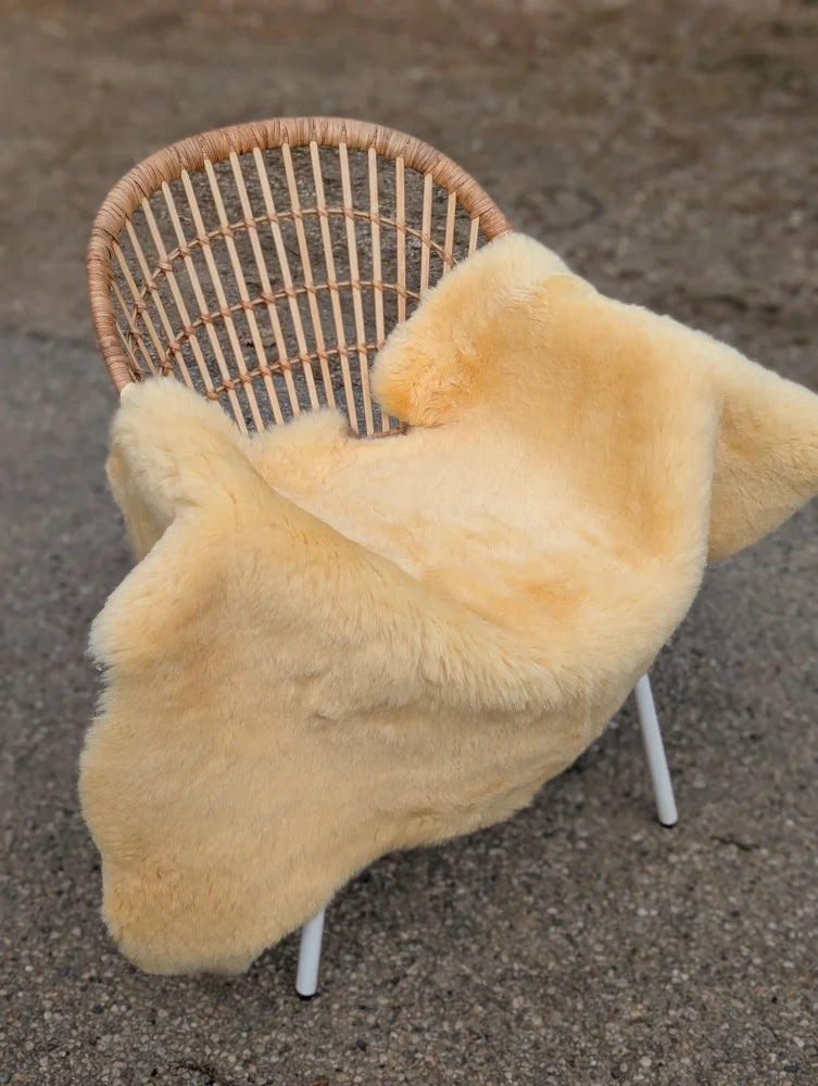 A soft creamy yellow medical sheepskin blanket in extra large size draped over a wicker chair naturally spotted