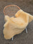 A soft creamy yellow medical sheepskin blanket in extra large size draped over a wicker chair naturally spotted