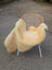 Cream-colored extra large washable medical sheepskin draped over wicker chair with white metal legs naturally spotted