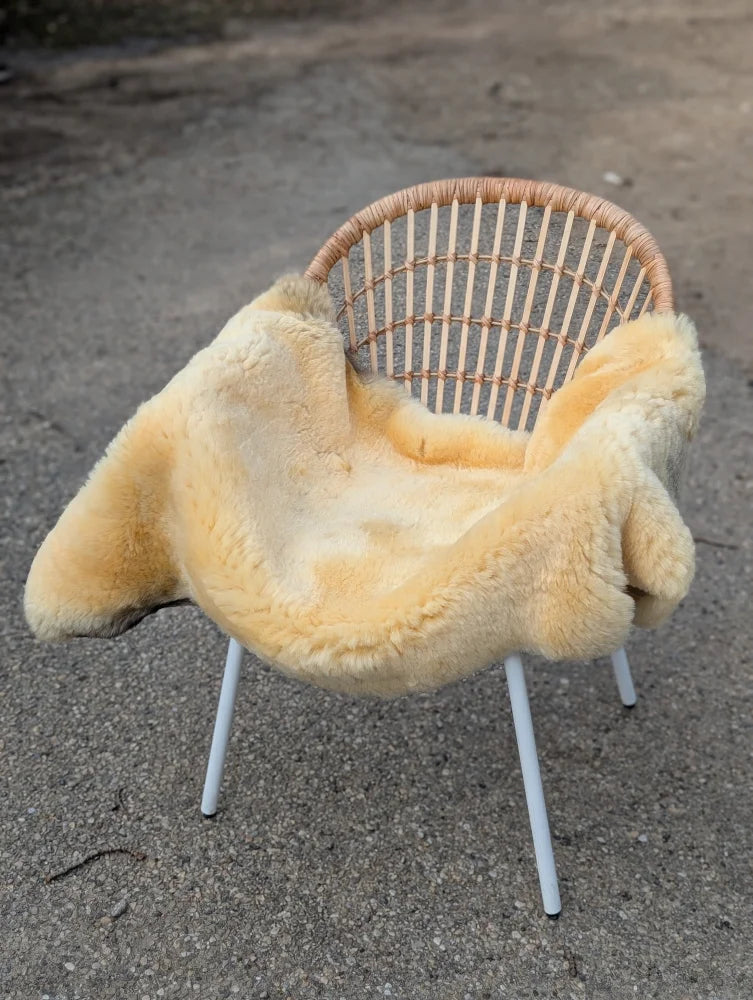 A soft creamy yellow extra large washable medical sheepskin naturally spotted draped over a wicker chair