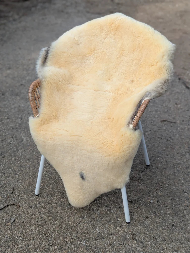 Cream-colored medical sheepskin naturally spotted draped over chair with wicker armrests and white metal legs