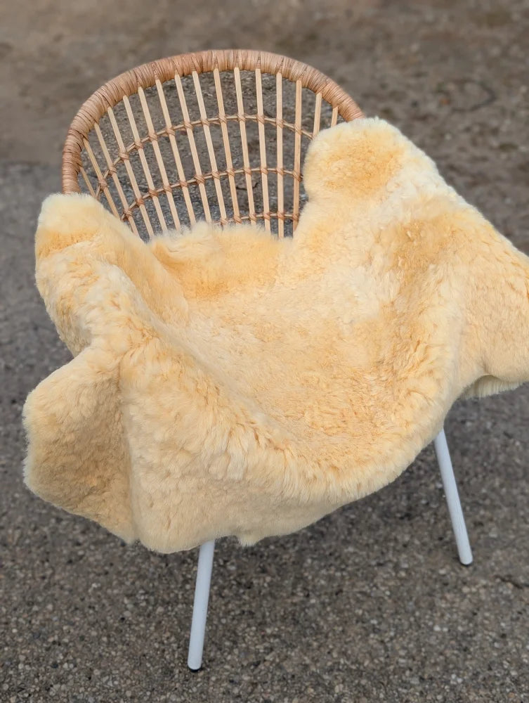 Cream-colored extra large washable medical sheepskin blanket draped over wicker chair naturally spotted medical sheepskins