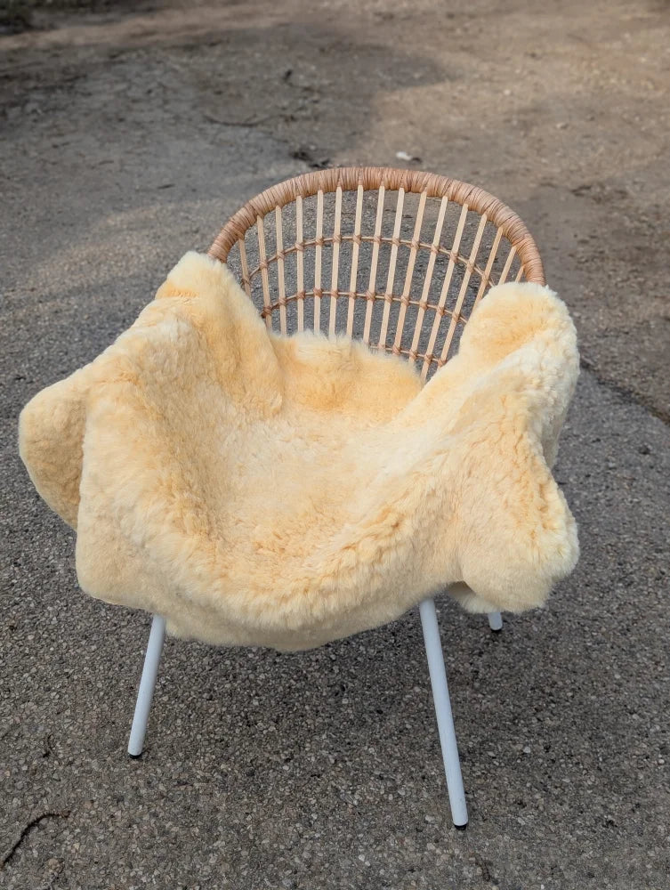 A cozy cream-colored medical sheepskin blanket naturally spotted draped over a wicker chair with white metal legs