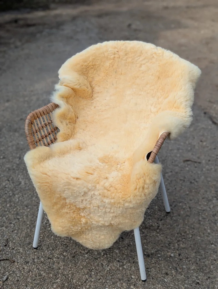 Cream-colored extra large washable medical sheepskin cover draped on woven wicker armchair with white metal legs