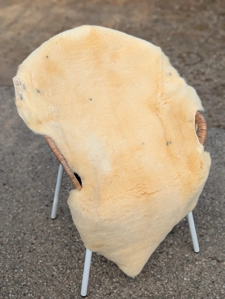 Cream-colored naturally spotted medical sheepskin draped over chair with wicker armrests and white metal legs