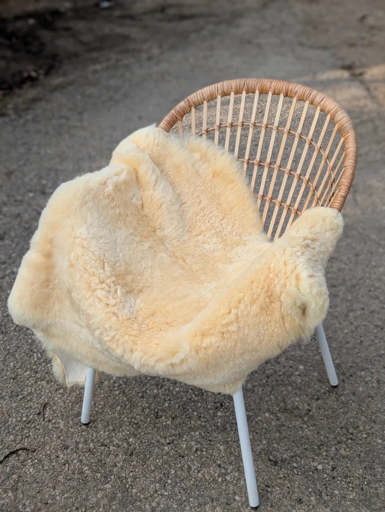 Cream-colored medical sheepskin draped over a wicker chair with white metal legs naturally spotted and washable