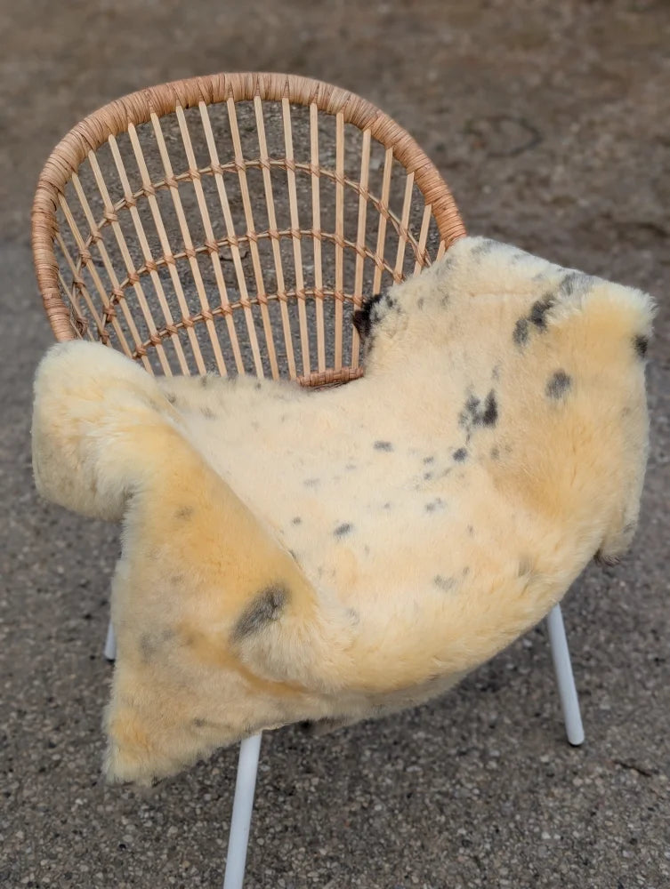 Cream-colored naturally spotted medical sheepskin blanket with black speckles draped over wicker chair