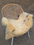 Cream-colored naturally spotted medical sheepskin blanket with black speckles draped over wicker chair