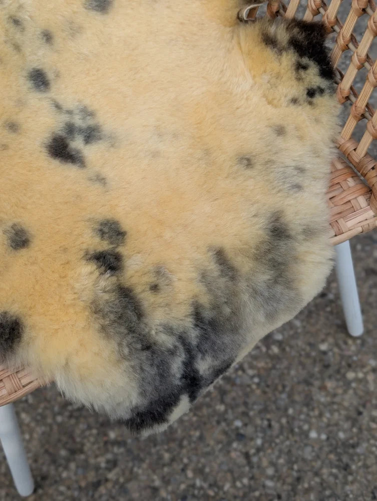 Cream-colored large washable medical sheepskin with natural black and gray speckles naturally spotted soft texture