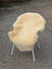 Cream-colored naturally spotted medical sheepskin draped over modern white metal chair with woven armrests