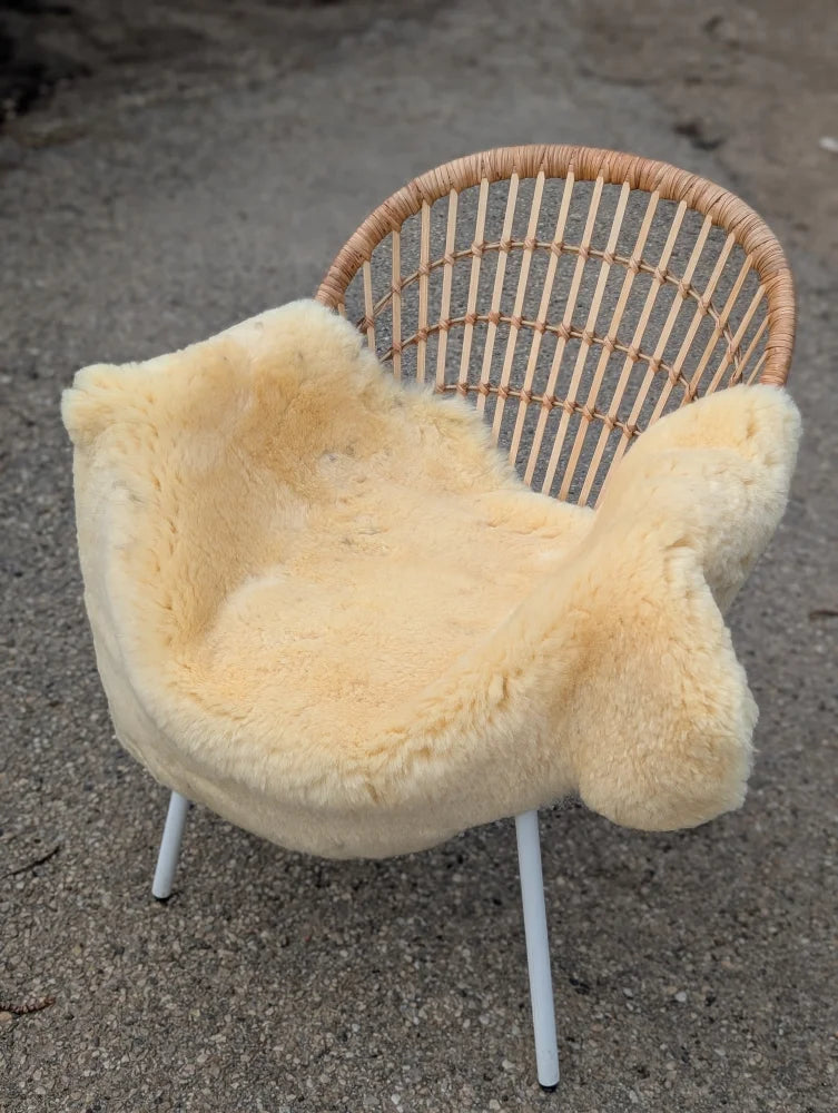 Cream-colored large washable medical sheepskin chair cover naturally spotted draped over wicker frame with white legs