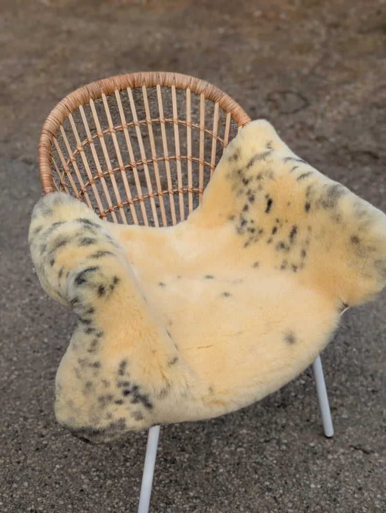 Cream-colored naturally spotted medical sheepskin with black speckles draped over a wicker chair for medical use