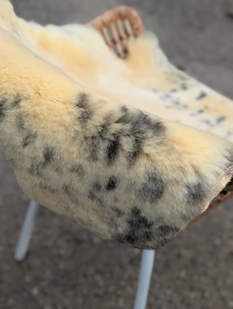 A cream-colored naturally spotted medical sheepskin draped over a wicker chair for washable medical sheepskins