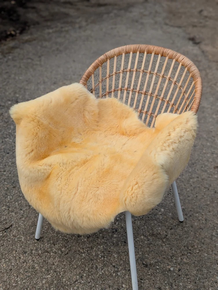 A soft pale yellow naturally spotted medical sheepskin blanket draped over a wicker chair with white metal legs