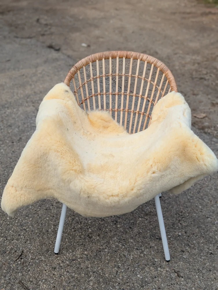 Cream-colored naturally spotted medical sheepskin blanket draped over wicker chair with white metal legs for medical use