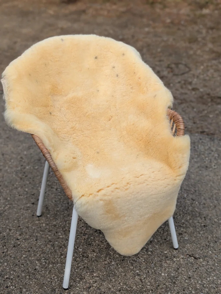 Cream-colored naturally spotted medical sheepskin draped over wicker chair with white metal legs for medical use