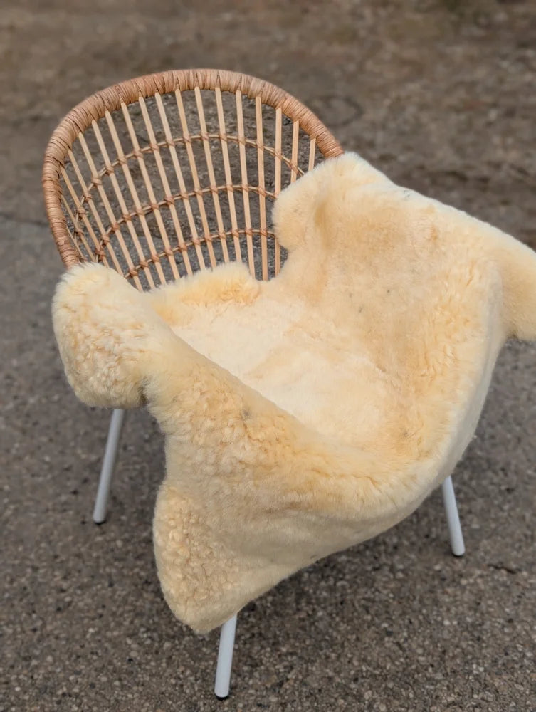 Cream-colored extra large washable medical sheepskin naturally spotted draped over a wicker chair