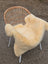 Cream-colored extra large washable medical sheepskin naturally spotted draped over a wicker chair