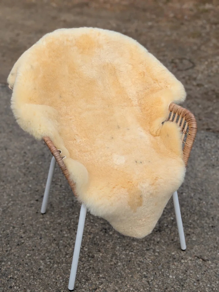 Cream-colored extra large washable medical sheepskin chair cover naturally spotted on wicker armchair with white legs