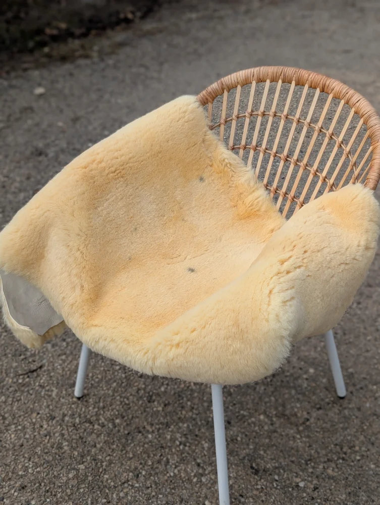 Cream-colored naturally spotted medical sheepskin blanket draped over wicker chair for extra large medical sheepskins