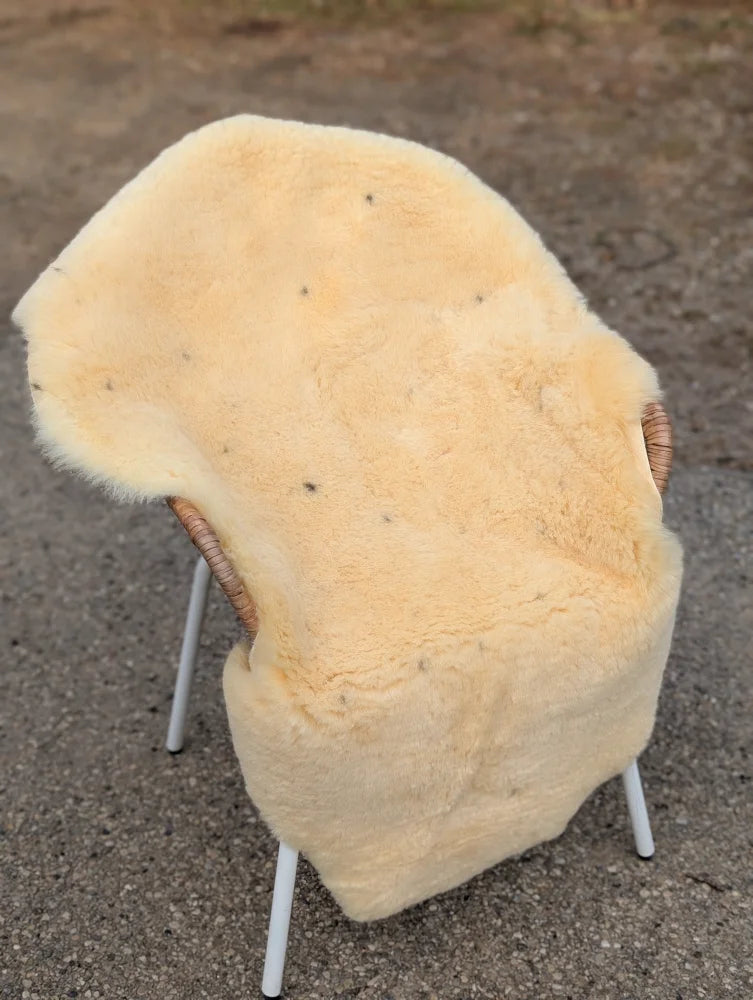 Cream-colored naturally spotted medical sheepskin rug draped over a wicker chair with white metal legs