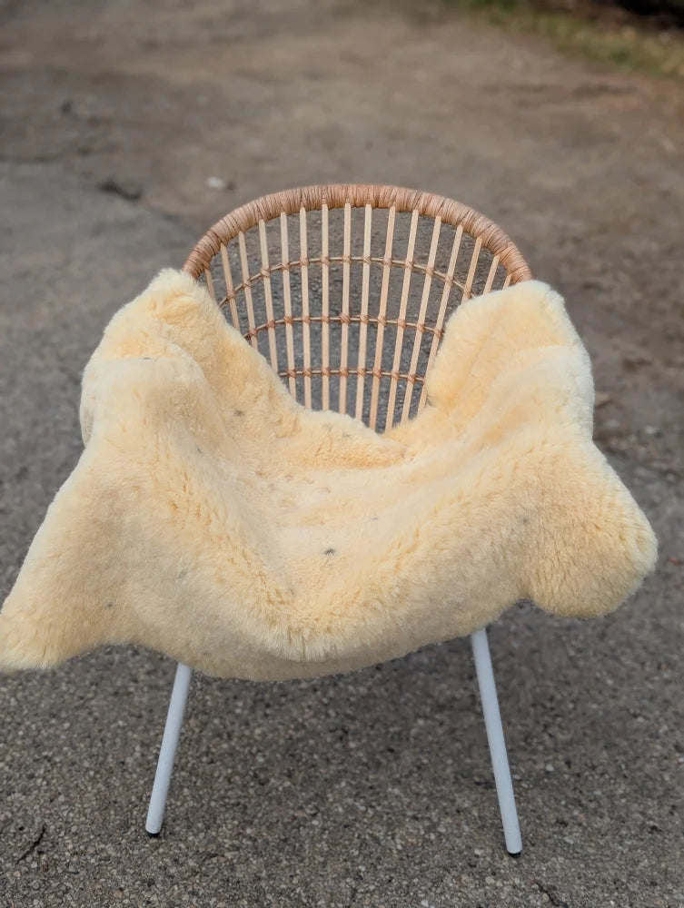 Cream-colored extra large naturally spotted medical sheepskin throw draped over a wicker chair with white metal legs
