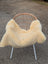 Cream-colored extra large naturally spotted medical sheepskin throw draped over a wicker chair with white metal legs