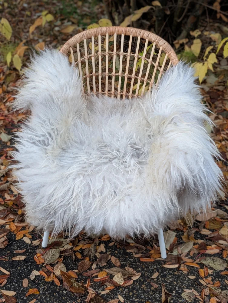 White fluffy long wool icelandic sheepskin throw draped over woven wicker chair in natural grey tones