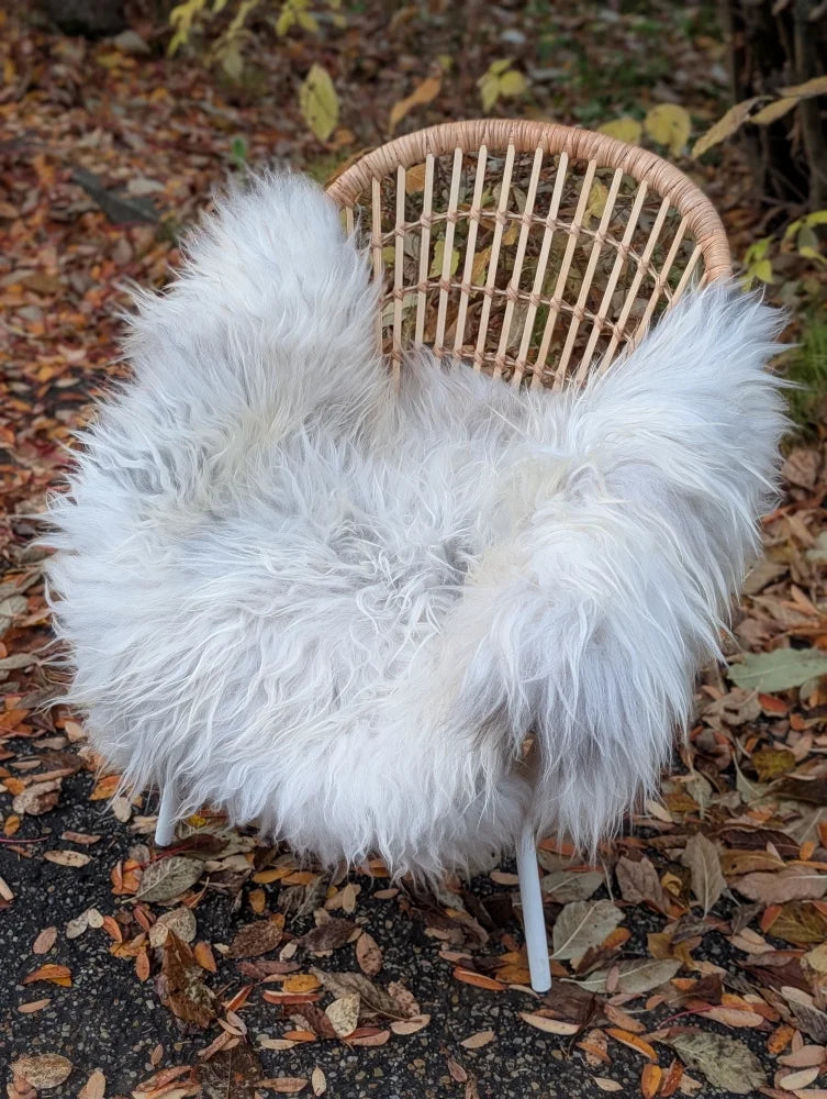 White fluffy wool icelandic sheepskin chair cover draped over woven wicker chair natural grey long wool