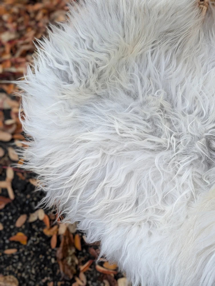 A plush white icelandic sheepskin rug with long wool fibers perfect for cozy decor and comfort
