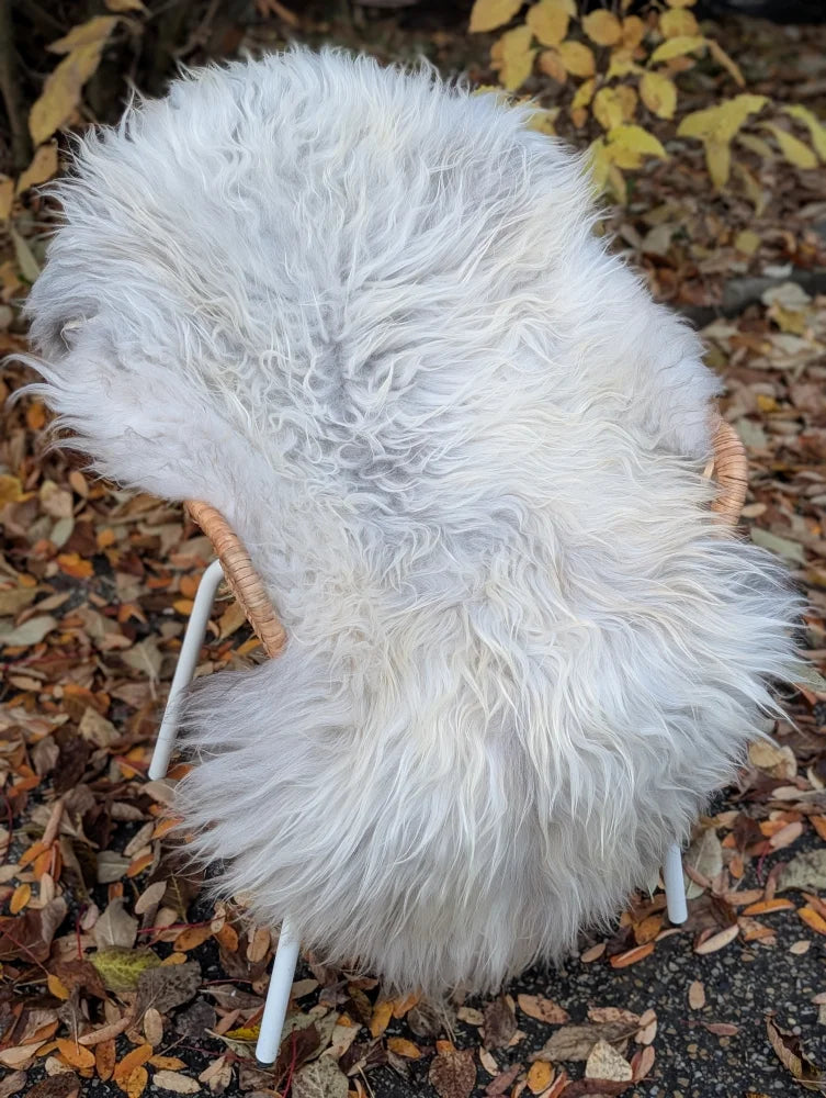 White fluffy wool icelandic sheepskin rug draped over wicker chair in natural grey long wool style