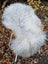 White fluffy wool icelandic sheepskin rug draped over wicker chair in natural grey long wool style