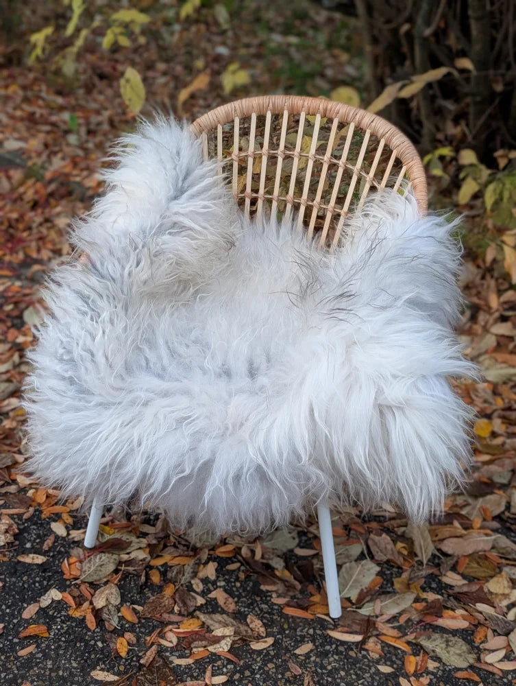 A fluffy wool icelandic sheepskin cover in natural grey draped over a wicker chair for cozy seating