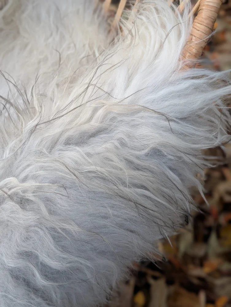 A plush long wool icelandic sheepskin blanket in natural grey with soft shaggy texture measuring 55 by 34 inches