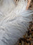 A plush long wool icelandic sheepskin blanket in natural grey with soft shaggy texture measuring 55 by 34 inches