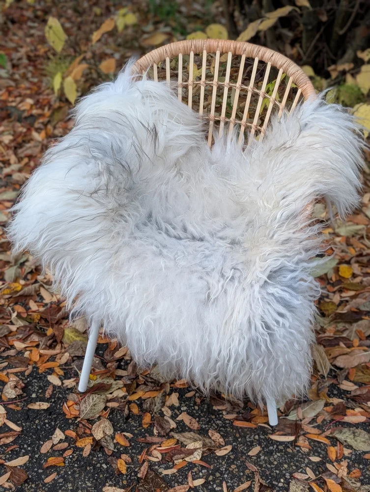 White fluffy wool icelandic sheepskin throw draped over woven wicker chair natural grey long wool texture
