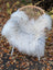 White fluffy wool icelandic sheepskin throw draped over woven wicker chair natural grey long wool texture