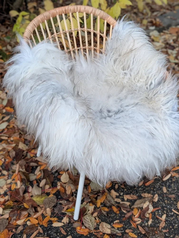White fluffy icelandic sheepskin wool icelandic long wool throw draped over wicker chair natural grey colors