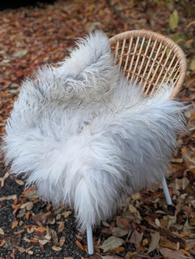 A massive 55 x 34 inch natural grey icelandic sheepskin throw with long wool draped over a wicker chair