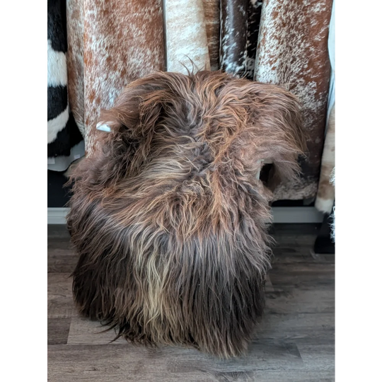 A plush shaggy long wool icelandic sheepskin rug in natural bronze brown and tan with a textured look