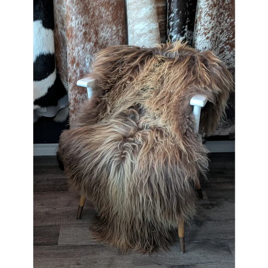 A plush long wool icelandic sheepskin throw in natural bronze draped over a white chair with wooden legs