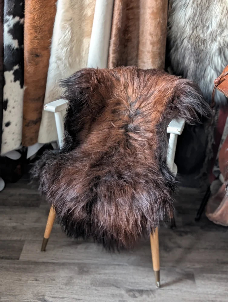 A plush long wool icelandic sheepskin rug in dark rusty brown draped over a white wooden chair with light wood legs