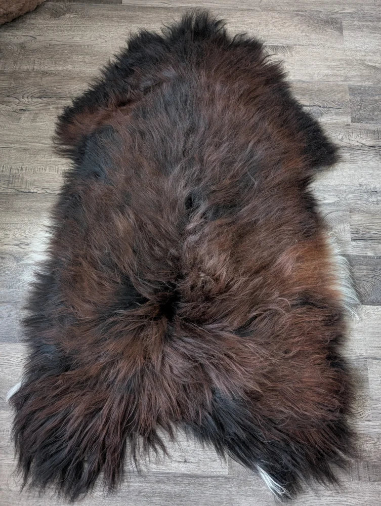 A massive natural dark rusty icelandic sheepskin rug with long wool icelandic in rich brown and black tones