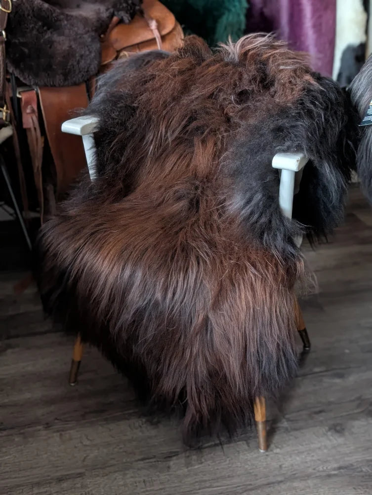 Massive natural dark rusty icelandic sheepskins thick shaggy wool icelandic rug draped over white chair with brass legs