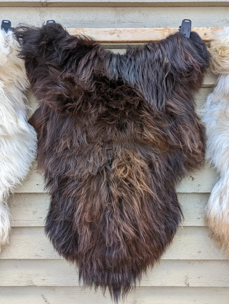 A thick shaggy dark rusty brown wool icelandic sheepskin rug with long fluffy fibers and natural color gradient