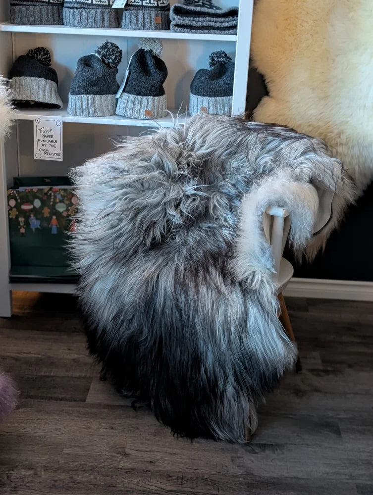 Massive natural grey icelandic sheepskins rug with long wool icelandic soft fluffy texture in gradient gray tones