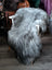 A plush long wool icelandic grey sheepskin rug draped over a white wooden chair for cozy decor
