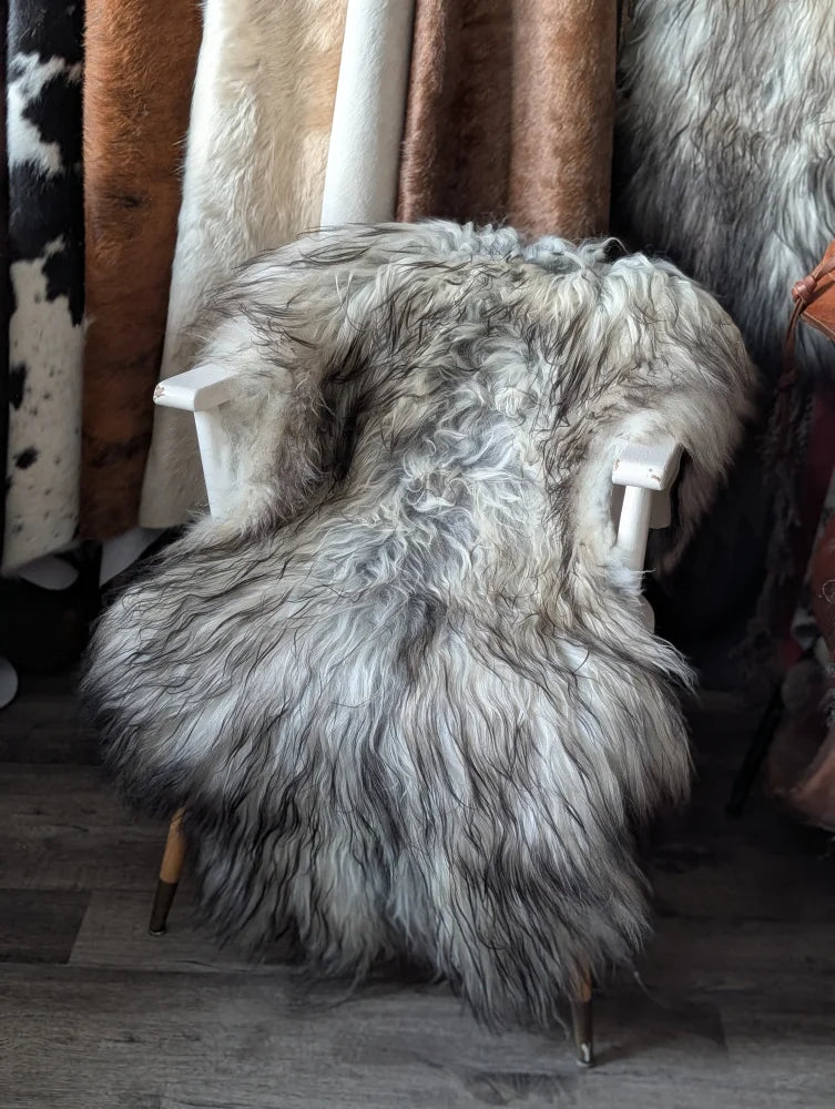A plush shaggy grey and white long wool icelandic sheepskin draped over a white wooden chair