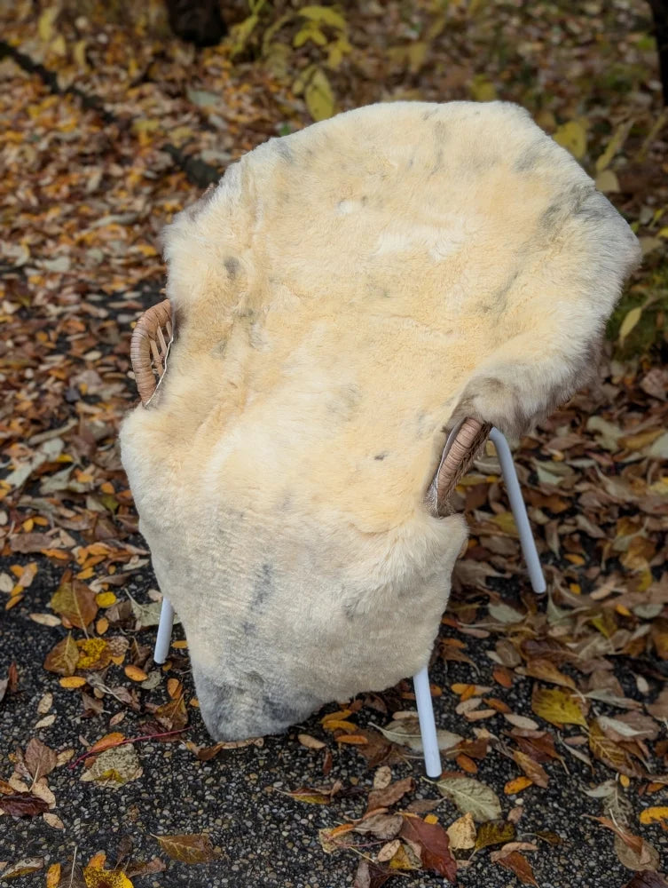 A cozy cream-colored medical sheepskin chair with naturally spotted plush fur and light brown woven armrests